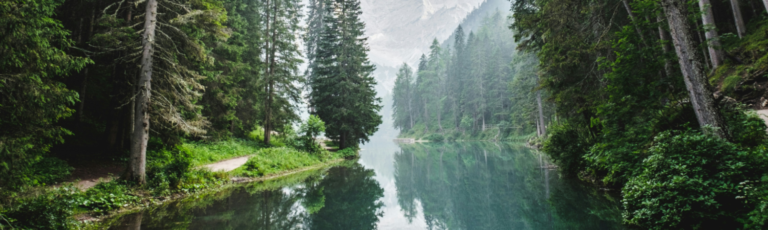 How to purchase premium carbon, biodiversity, and renewable energy credits in the voluntary carbon market